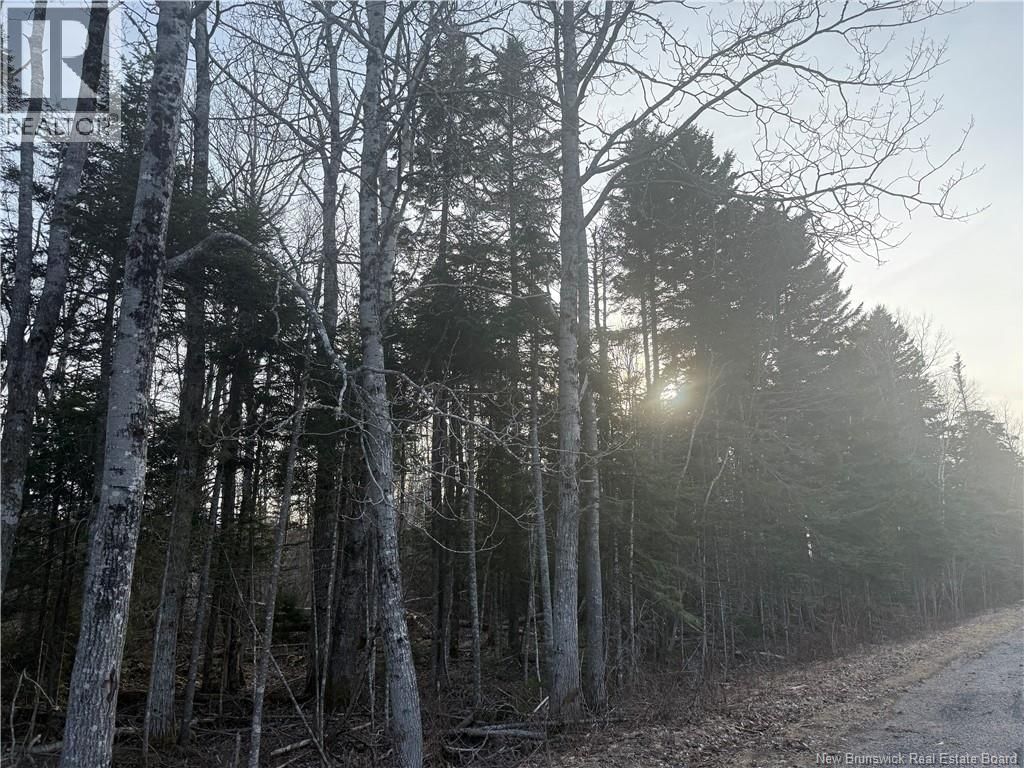 MCKAY LOOP ROAD Image 3