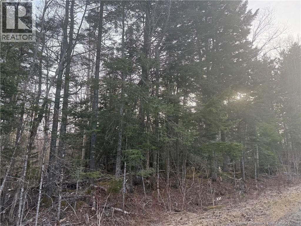 MCKAY LOOP ROAD Image 5