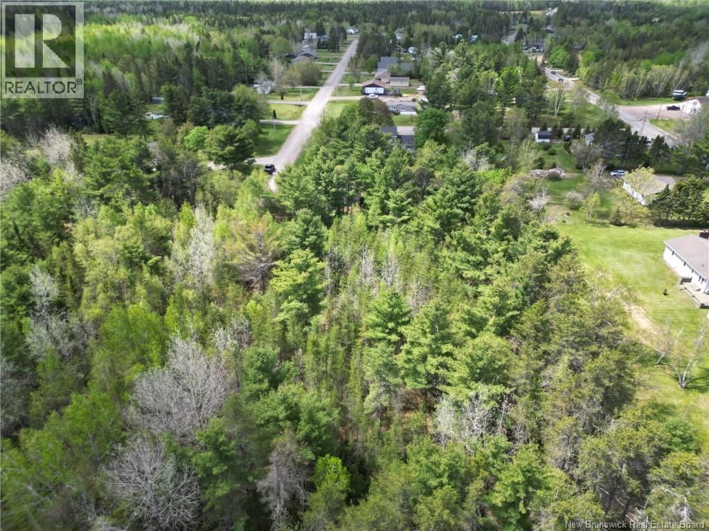 Lot - 97-1 DES PINS Image 4