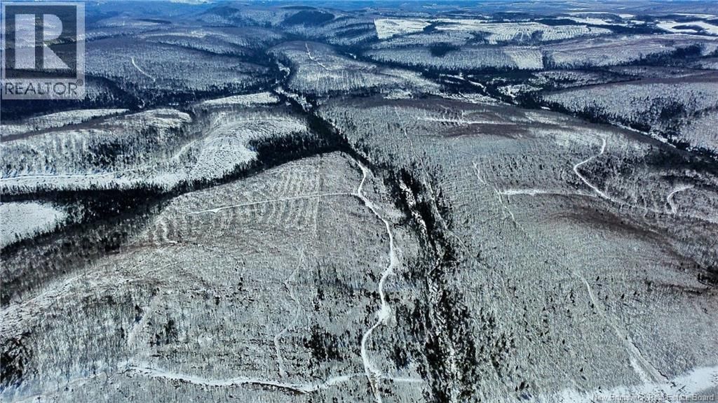 LAND - KINTORE TOWER ROAD Image 12