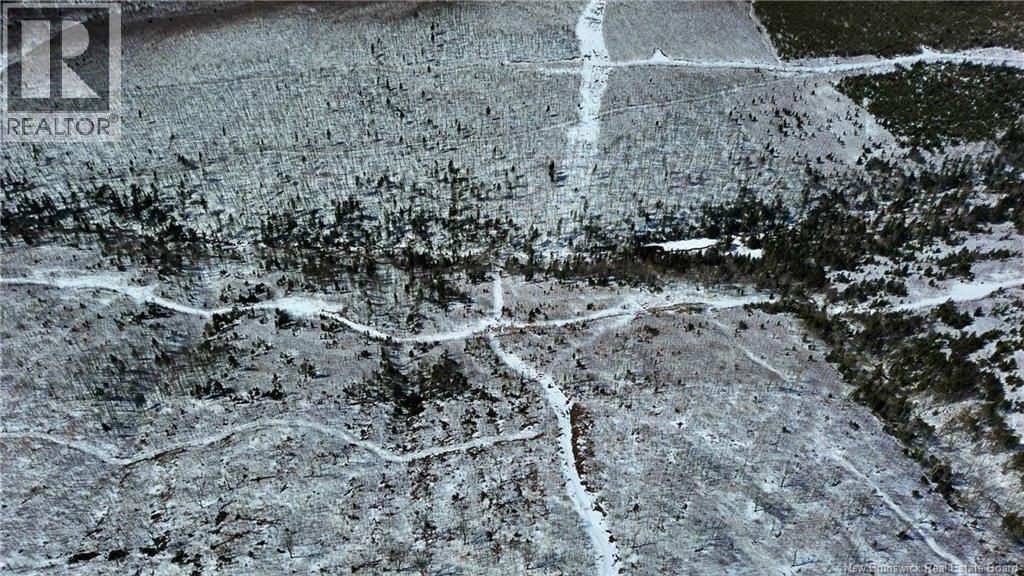 LAND - KINTORE TOWER ROAD Image 15