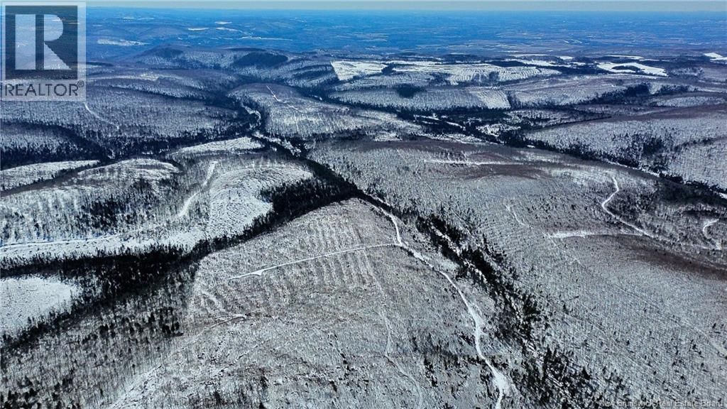 LAND - KINTORE TOWER ROAD Image 5