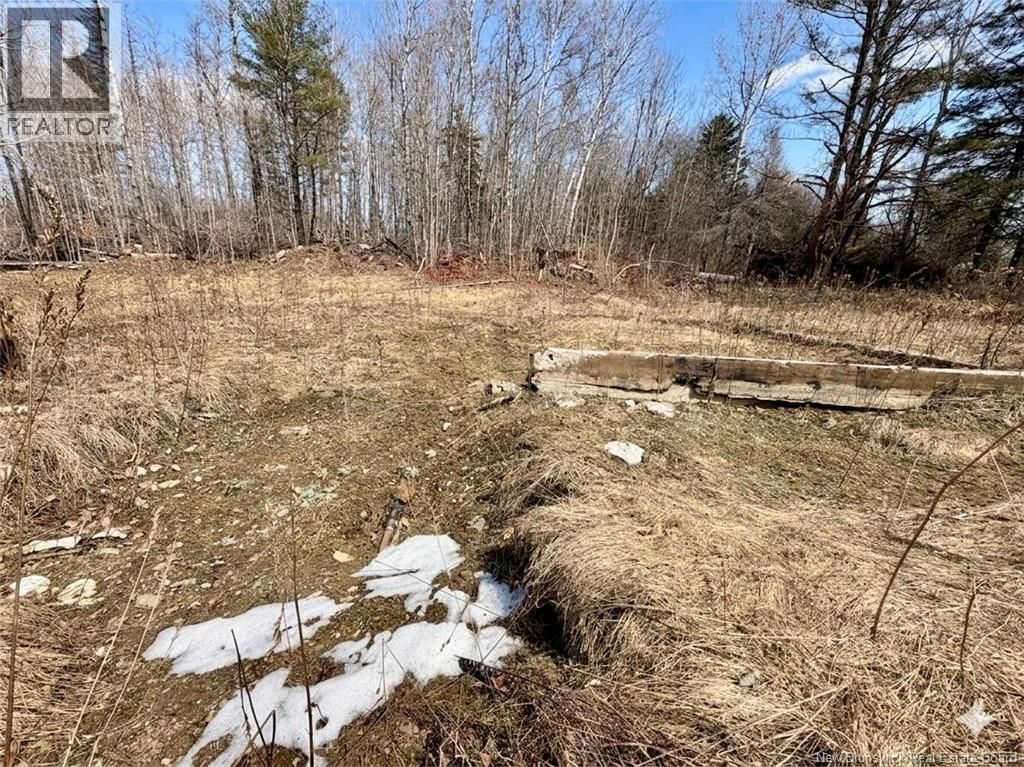 10030 105 ROUTE Image 11