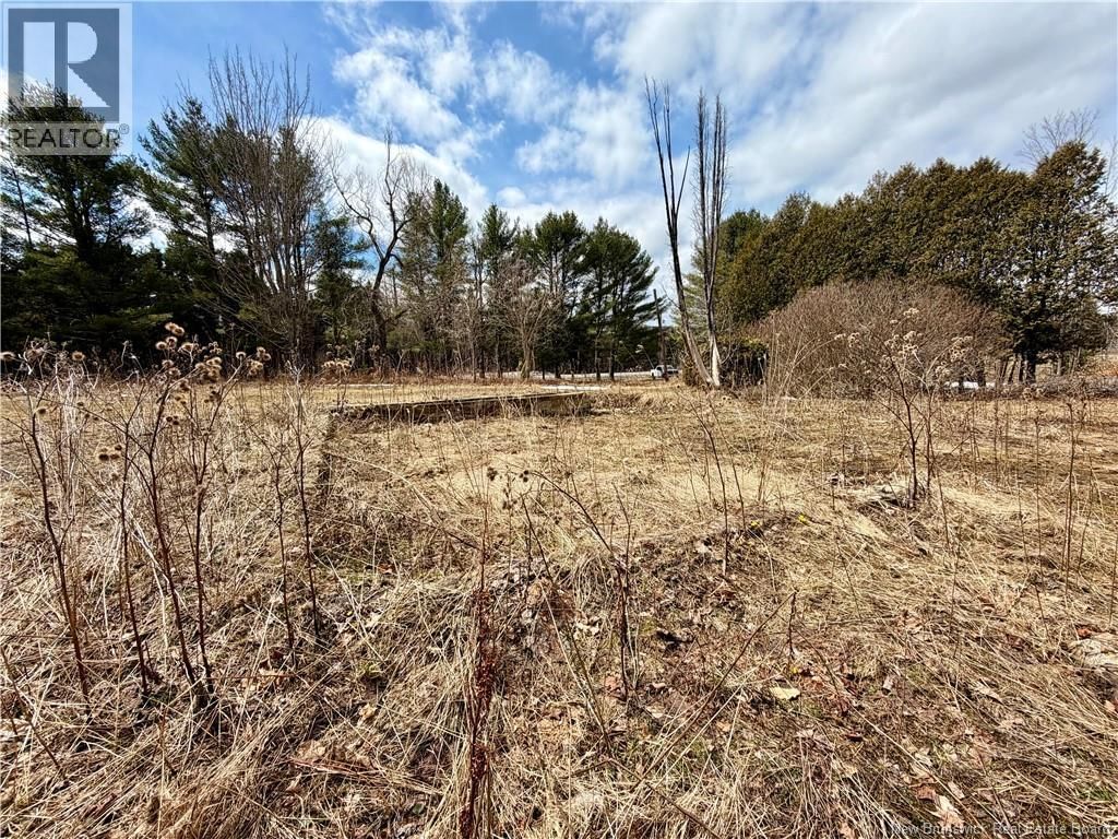 10030 105 ROUTE Image 13