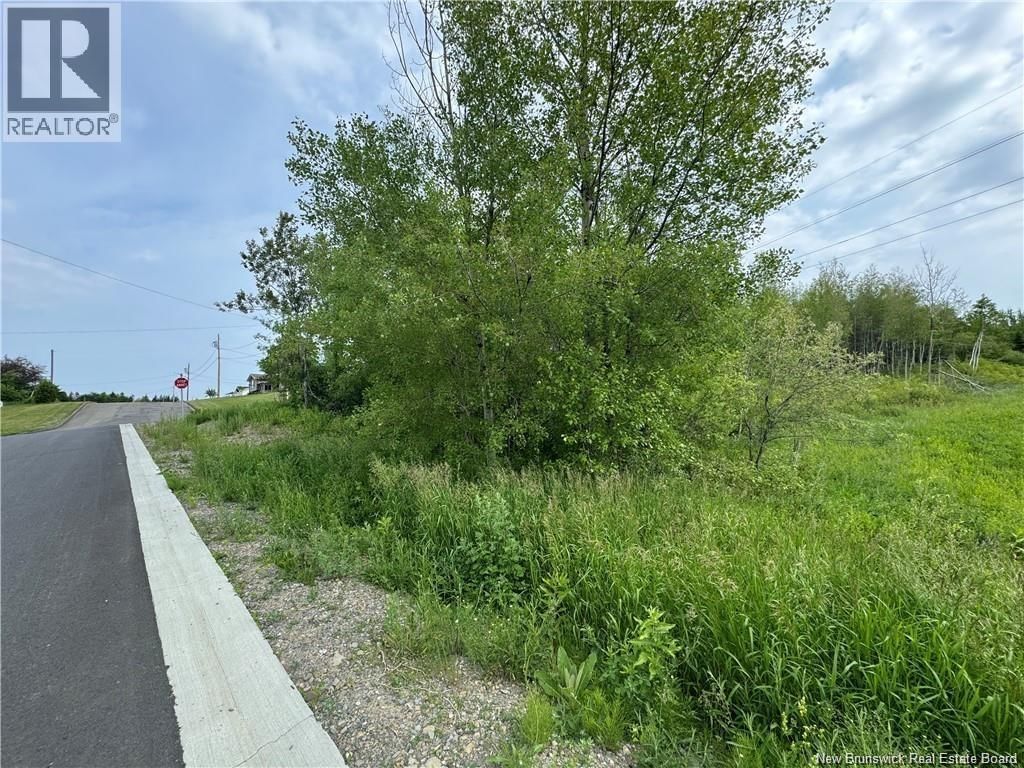 EVANGELINE STREET Image 2