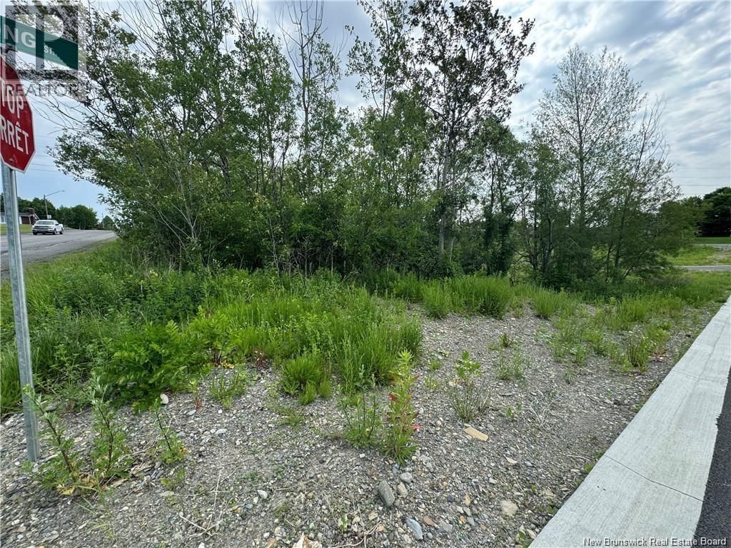 EVANGELINE STREET Image 3