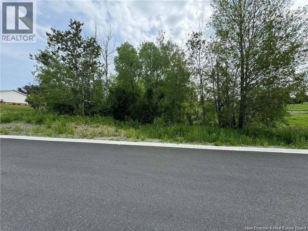 EVANGELINE STREET Image 4