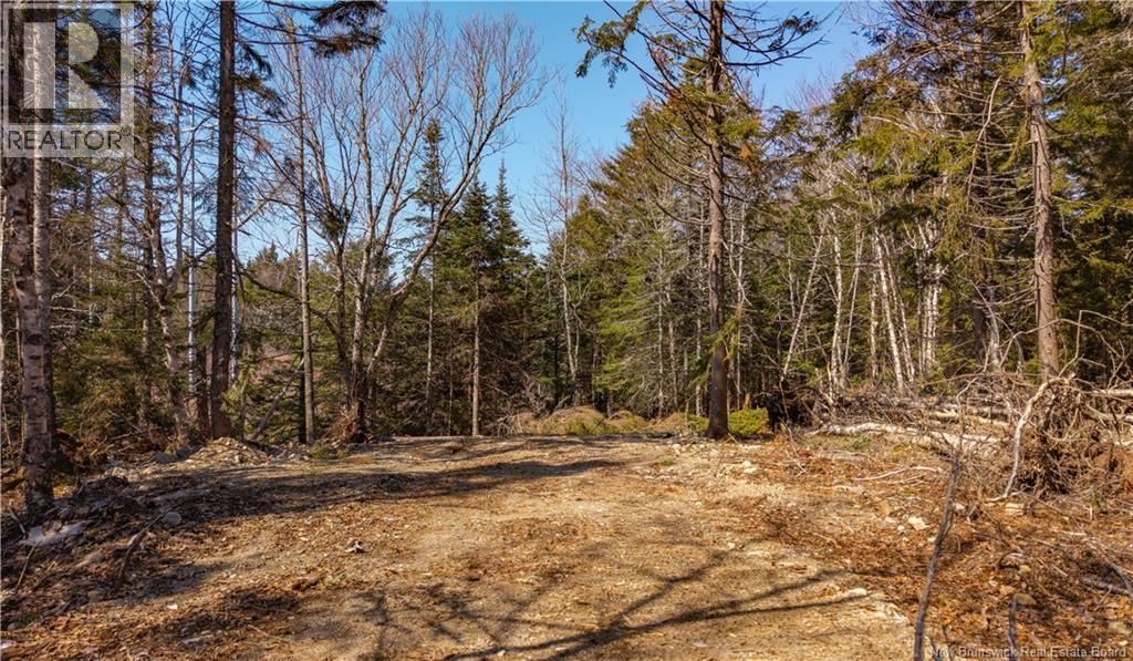 3008 ROUTE 760 Image 24