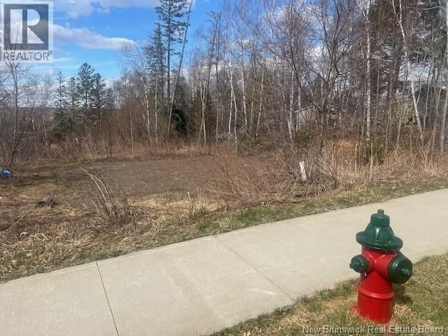 37 WHISPERWOOD DRIVE Image 3