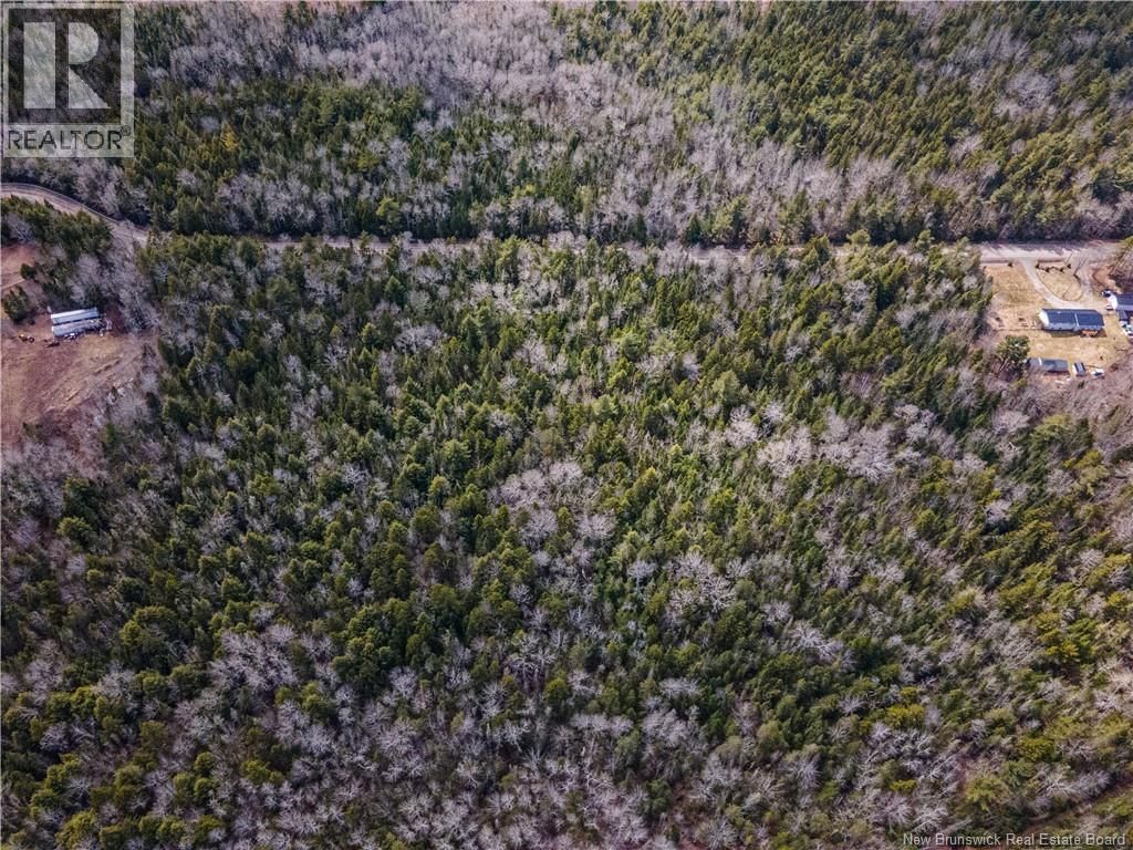 Lot - 25-5 BUCKLEY SETTLEMENT ROAD Image 7