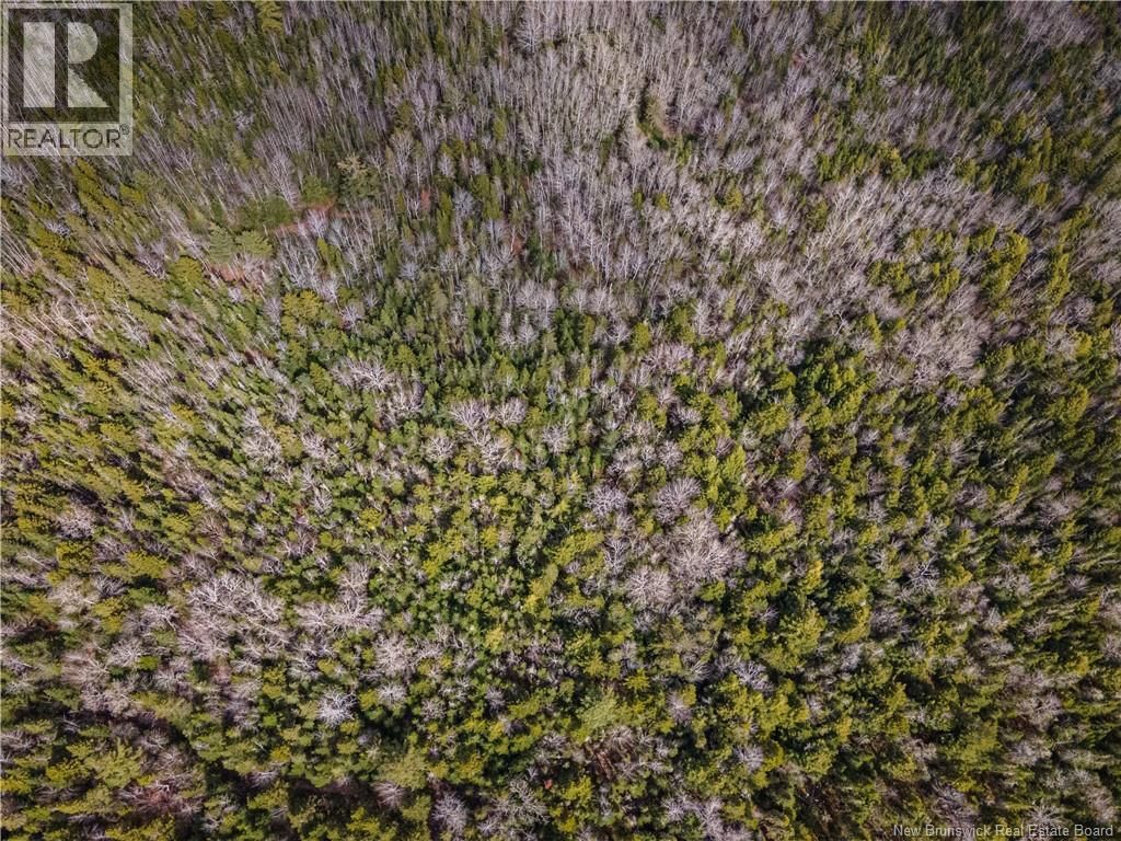 Lot - 25-5 BUCKLEY SETTLEMENT ROAD Image 8