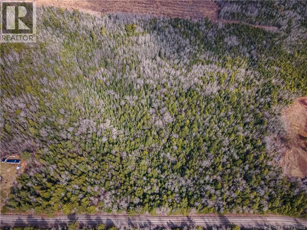 Lot - 25-5 BUCKLEY SETTLEMENT ROAD Image 9