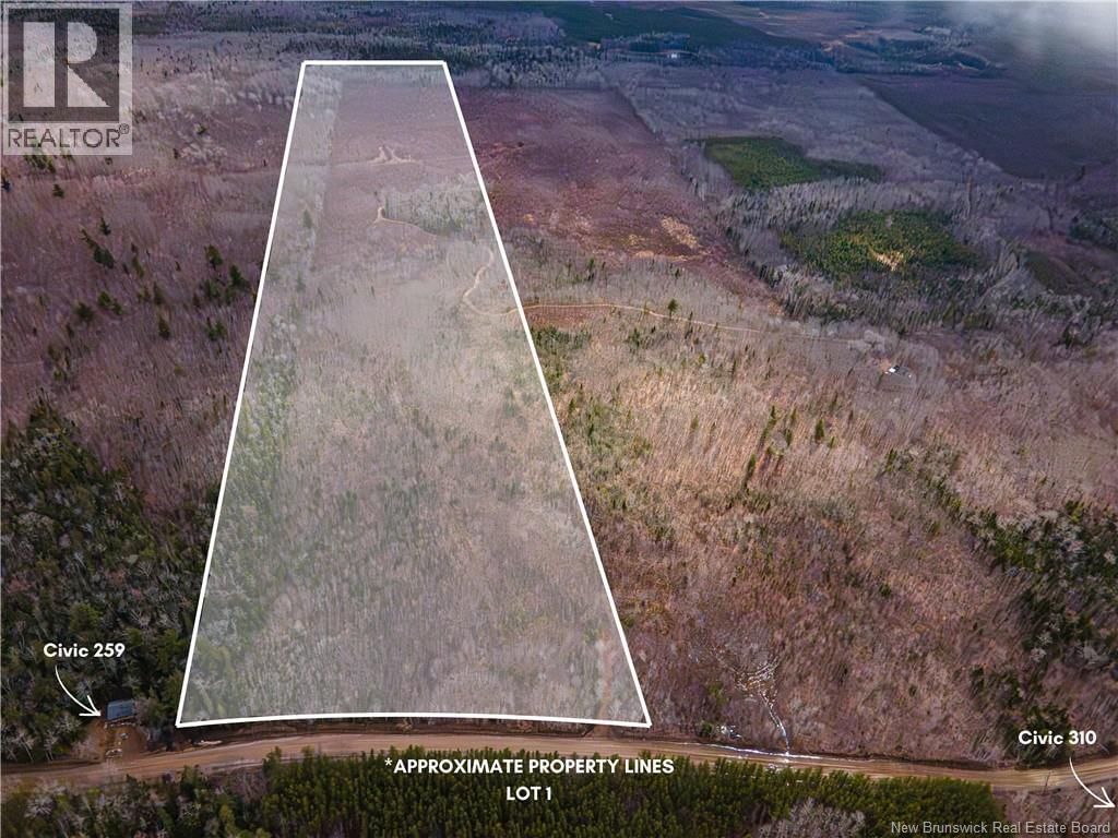 Lot 1 South Canaan Road, South Canaan, New Brunswick E4Z 3R7