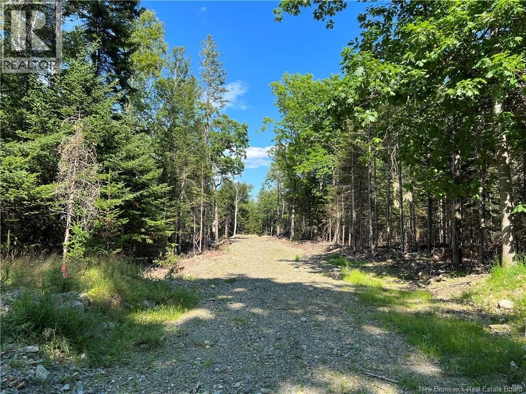  Hills Point Road, Oak Bay, New Brunswick E3L 4J6