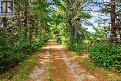 3090 Route 116 | Salmon River Rd New Brunswick | Slide Image Forty-five