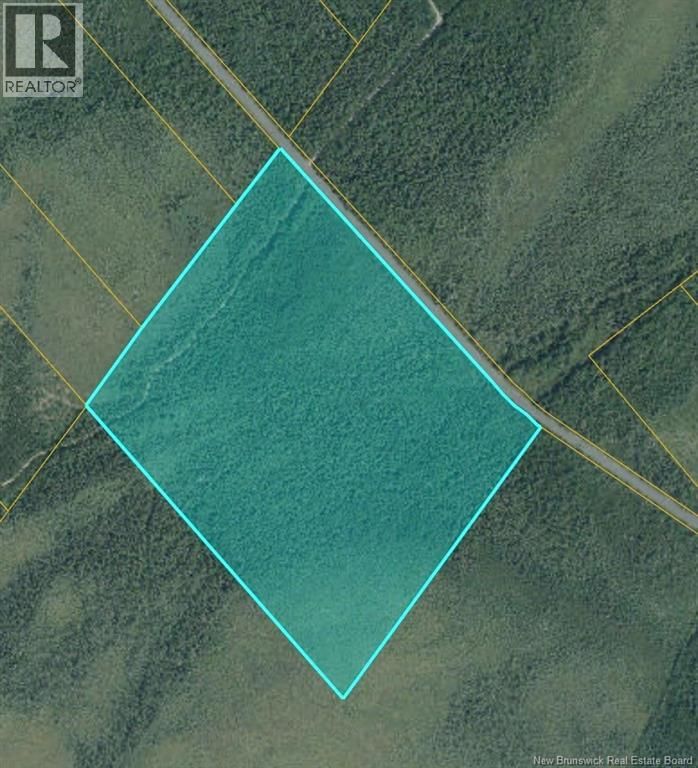 53.1 Acres Route 117, Napan, New Brunswick E1N 4Y7