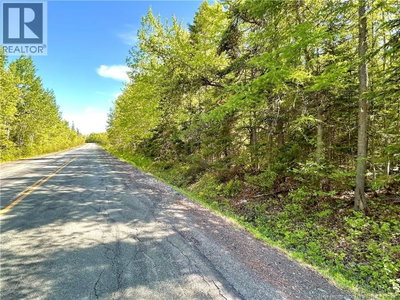 53.1 Acres Route 117 | Napan New Brunswick | Slide Image Two