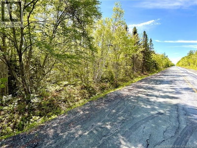 53.1 Acres Route 117 | Napan New Brunswick | Slide Image Three