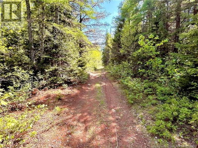 53.1 Acres Route 117 | Napan New Brunswick | Slide Image Four