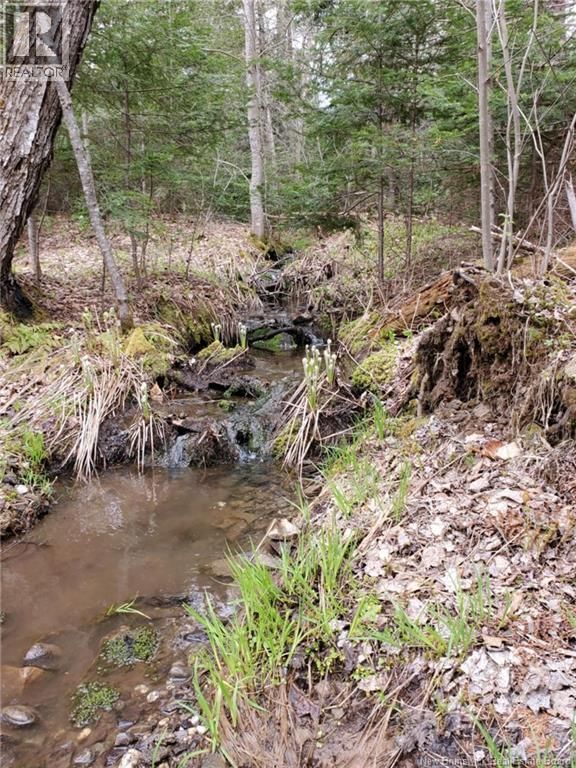 2 Thompson Road, Kierstead Mountain, New Brunswick E5P 1X3