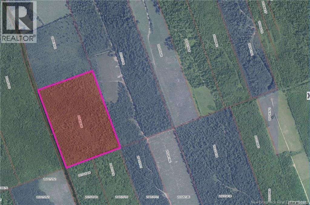 Lot Butte-D'or, Saint-Sauveur, New Brunswick E8L 1M7
