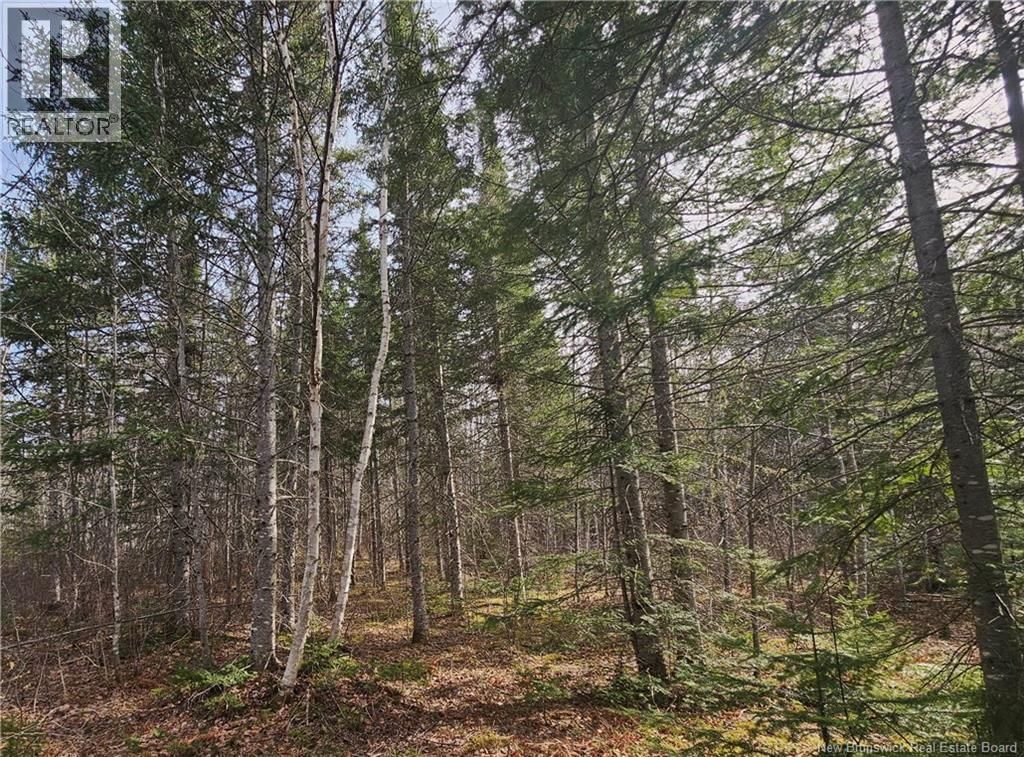 00 Route 118, Chelmsford, New Brunswick E9E 2G8