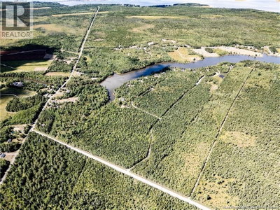 25-14 ALLEE LION | Richibucto-Village New Brunswick | Slide Image Seven
