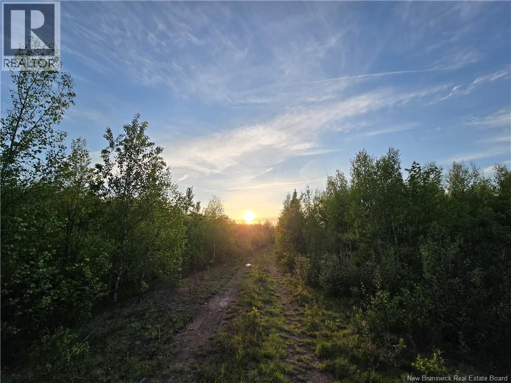 Lot 2 Dingley Road, Head Of Millstream, New Brunswick E4Z 1W1