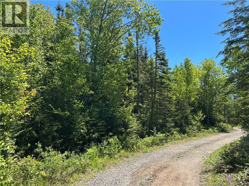 Lot Nelson Lake Road, Grand Bay-Westfield, New Brunswick E5K 4W2