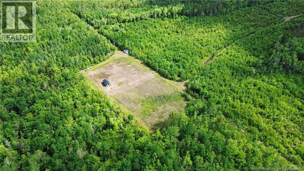 LOT Sapin Court, Rogersville, New Brunswick E4Y 1W5