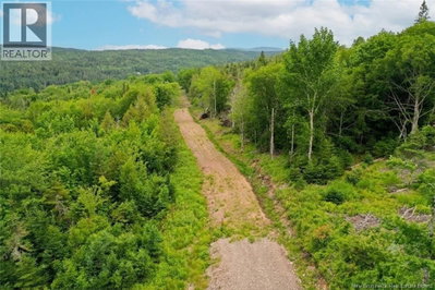 198 Acres Damascus Road | Damascus New Brunswick | Slide Image Four