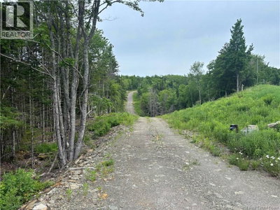 198 Acres Damascus Road | Damascus New Brunswick | Slide Image Six