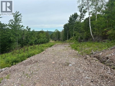 198 Acres Damascus Road | Damascus New Brunswick | Slide Image Eight