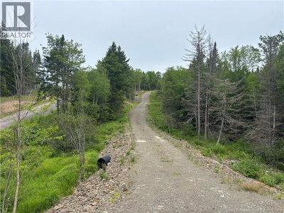 198 Acres Damascus Road | Damascus New Brunswick | Slide Image Nine