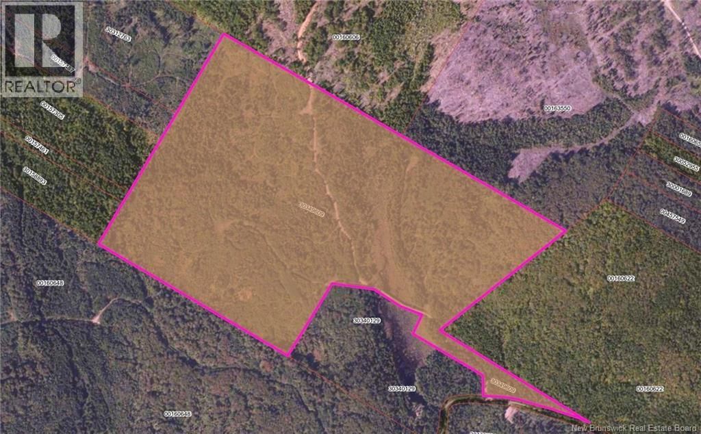 LOT Backland Road, Kingston, New Brunswick E5N 1E4