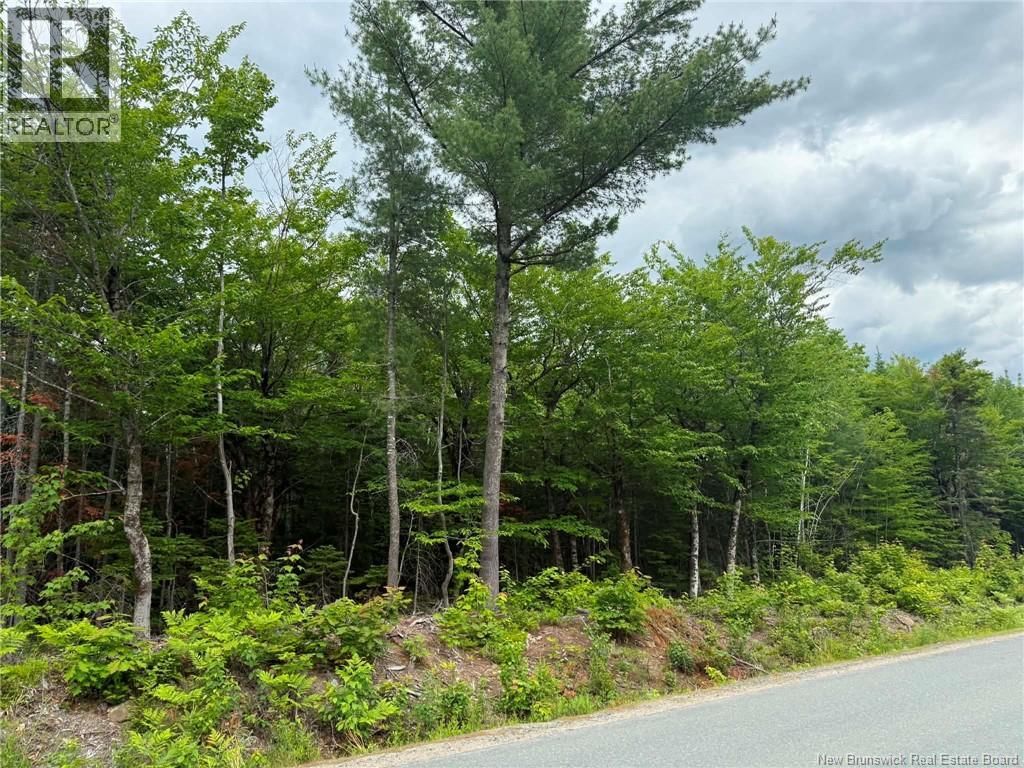 4 Hansen Road, Miramichi, New Brunswick E1V 3M2