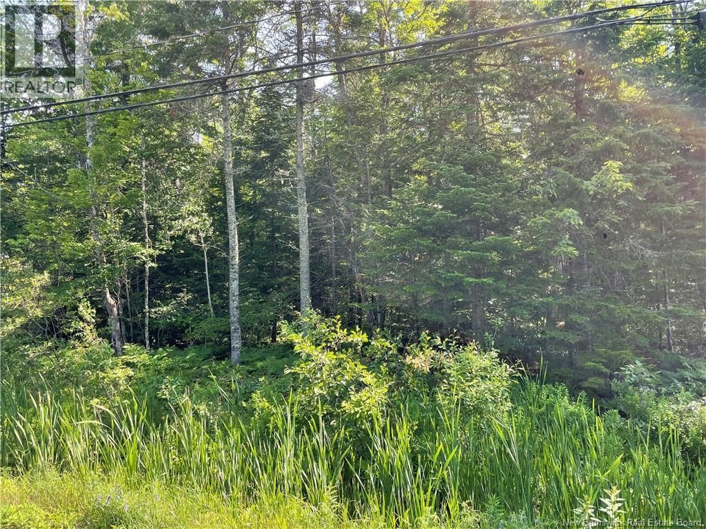 Lot 1 Route 490, McQuade, New Brunswick E1G 3J4