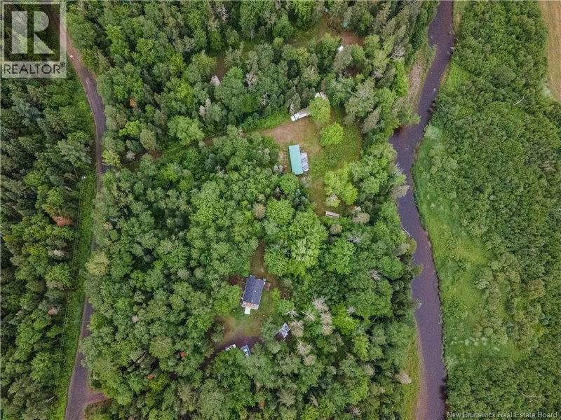 84 Back Road Summerfield New Brunswick, E4G 4G3 - Vacant Land For Sale