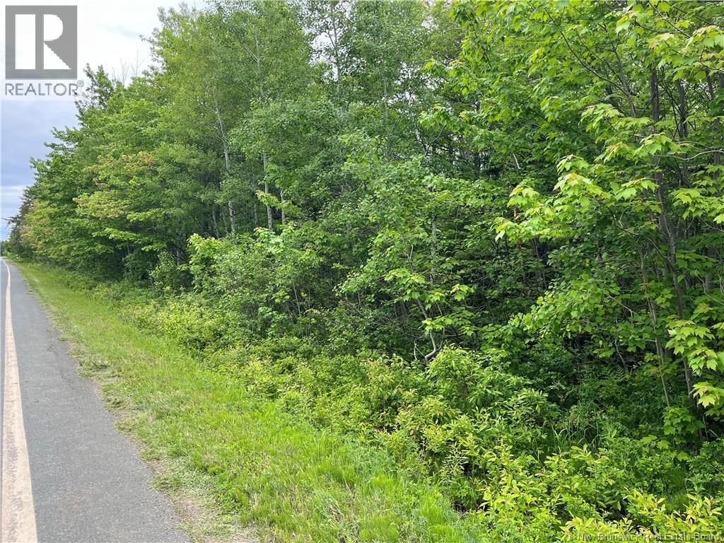 1446 CHATILLON, Maisonnette, New Brunswick E8N 1R1