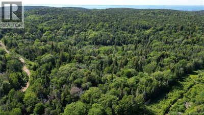  Stanley Brook | Grand Manan New Brunswick | Slide Image Seven