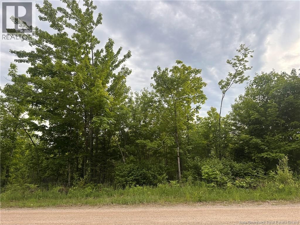 Lot Tay Falls Road, Woodlands, New Brunswick E6L 2C6