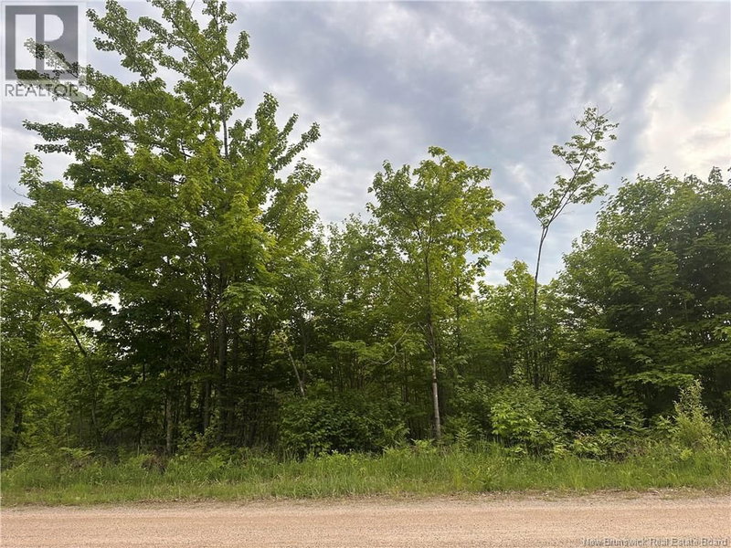 Lot Tay Falls Road Woodlands New Brunswick, E6L 2C6 - Vacant Land For Sale