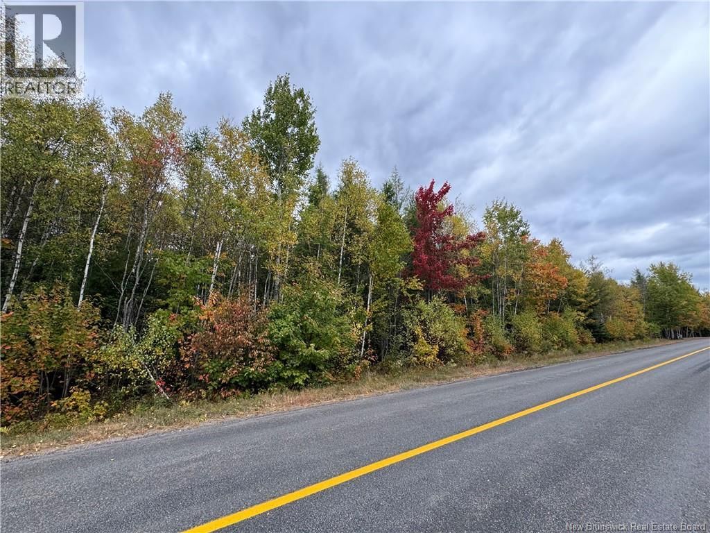 Blueberry Lane, Codys, New Brunswick E4C 1E3