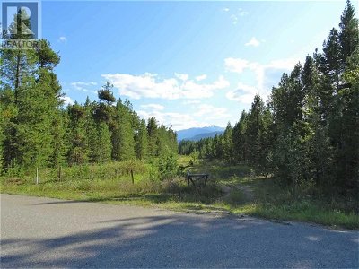 Image #1 of Commercial for Sale at Lot 10 Pine Road, Valemount, British Columbia