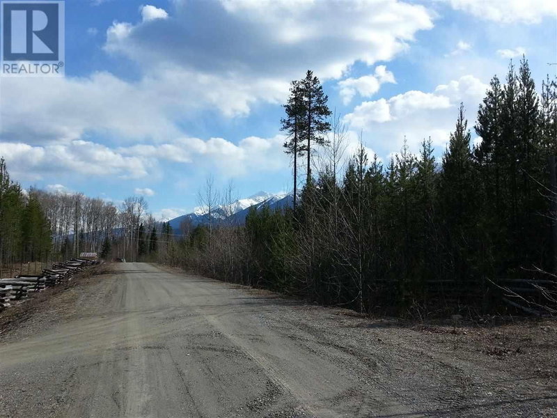 LOT 2 SMALL RIVER FSR Road Valemount British Columbia, V0E 2Z0 - Vacant Land For Sale