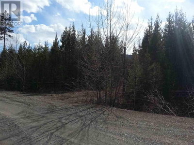 LOT 2 SMALL RIVER FSR Road | Valemount British Columbia | Slide Image Three