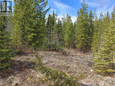 Image #1 of Commercial for Sale at Lot 2 Ager Road, Burns Lake, British Columbia