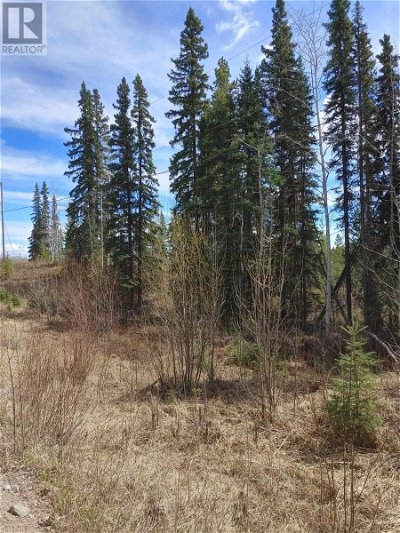 Image #1 of Commercial for Sale at Lot 5 Colleymount Ager Road, Burns Lake, British Columbia