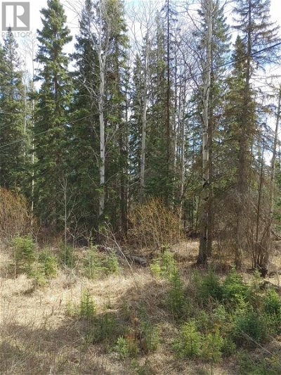 Image #1 of Commercial for Sale at Lot 5 Colleymount Ager Road, Burns Lake, British Columbia