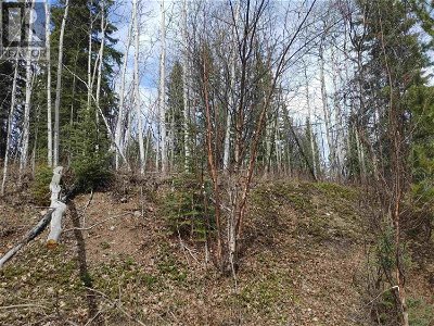 Image #1 of Commercial for Sale at Lot 9 Ager Road, Burns Lake, British Columbia